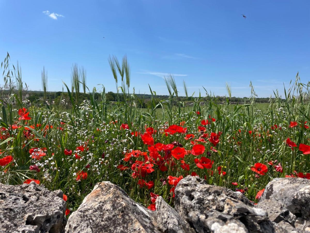 Trullo Trullallero Martina Franca Ngoại thất bức ảnh