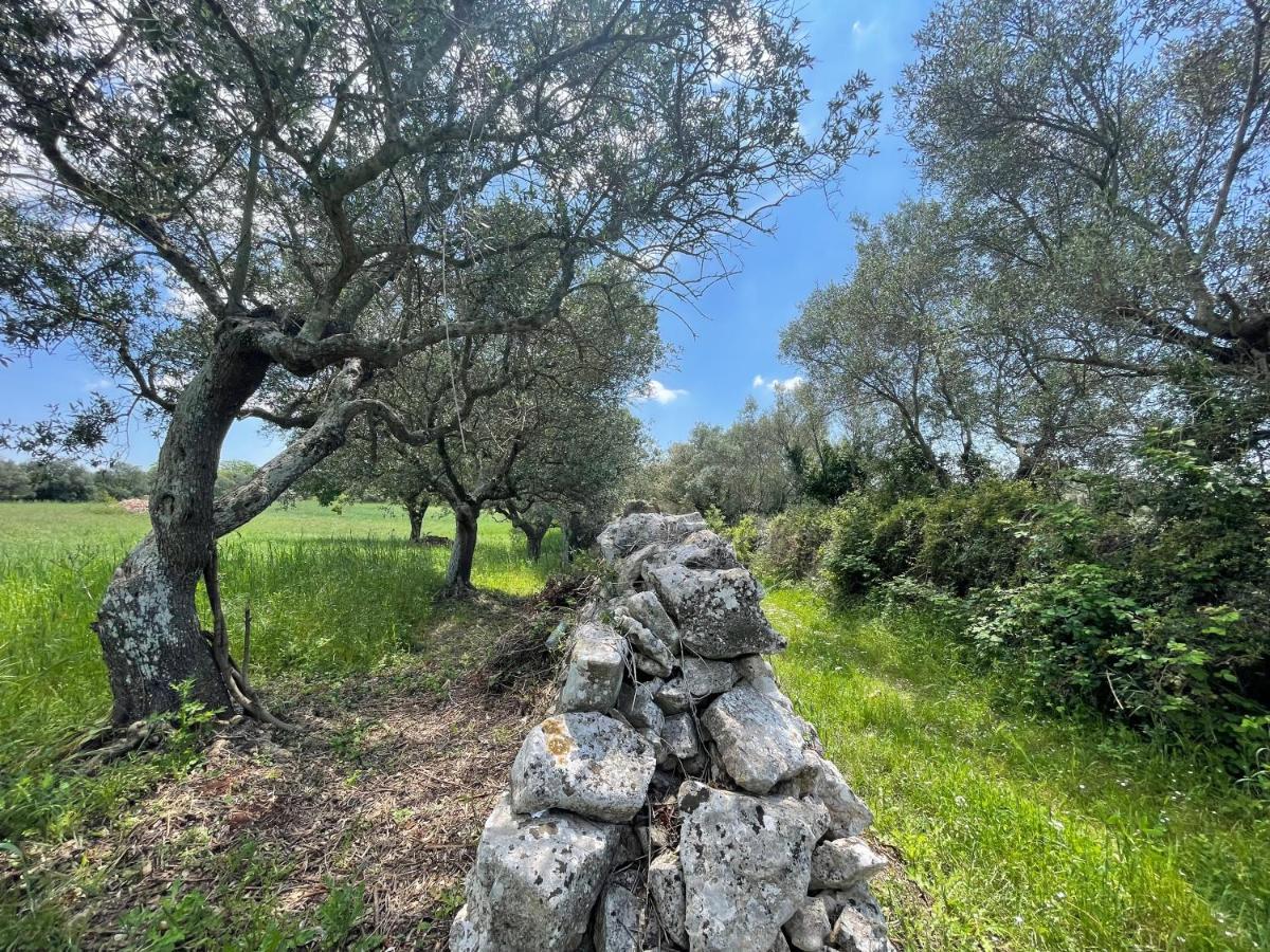 Trullo Trullallero Martina Franca Ngoại thất bức ảnh