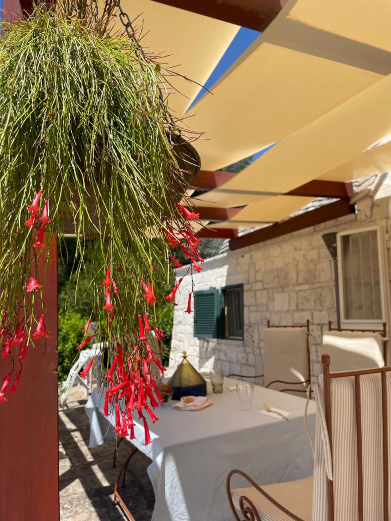 Trullo Trullallero Martina Franca Ngoại thất bức ảnh